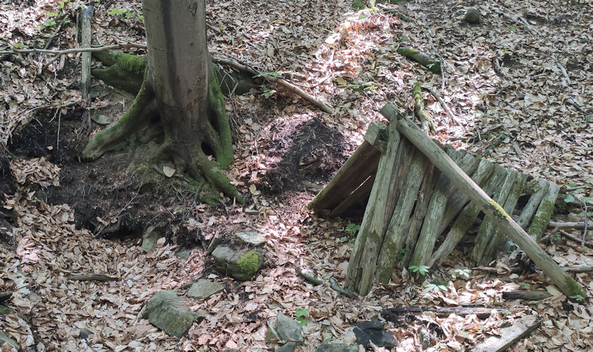 studánka Čertova (5613)
