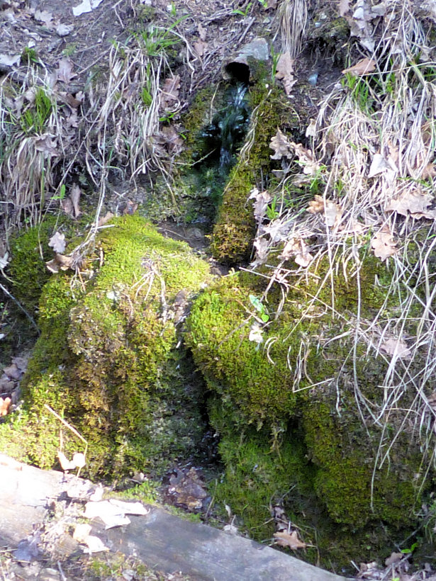 studánka Libušinka (5618)
