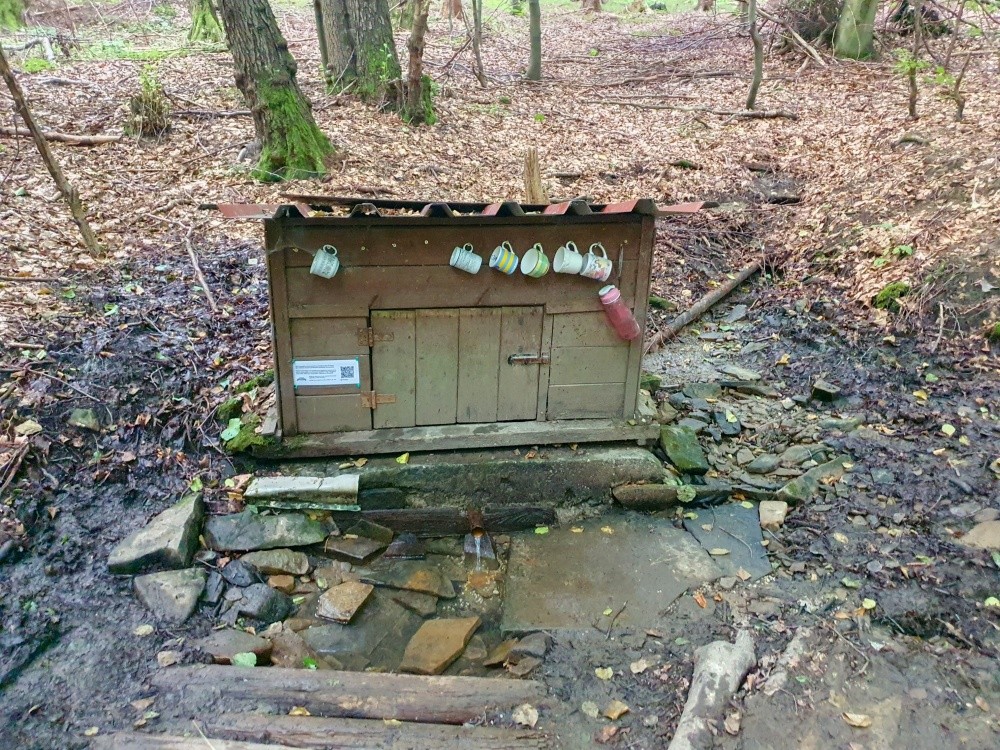 studánka Na koncích (5625)