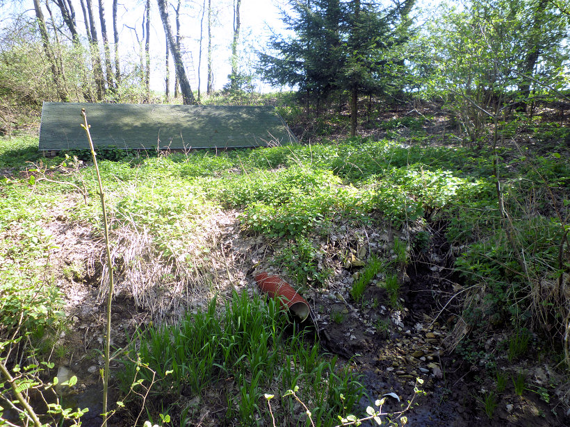 studánka V polích (5628)