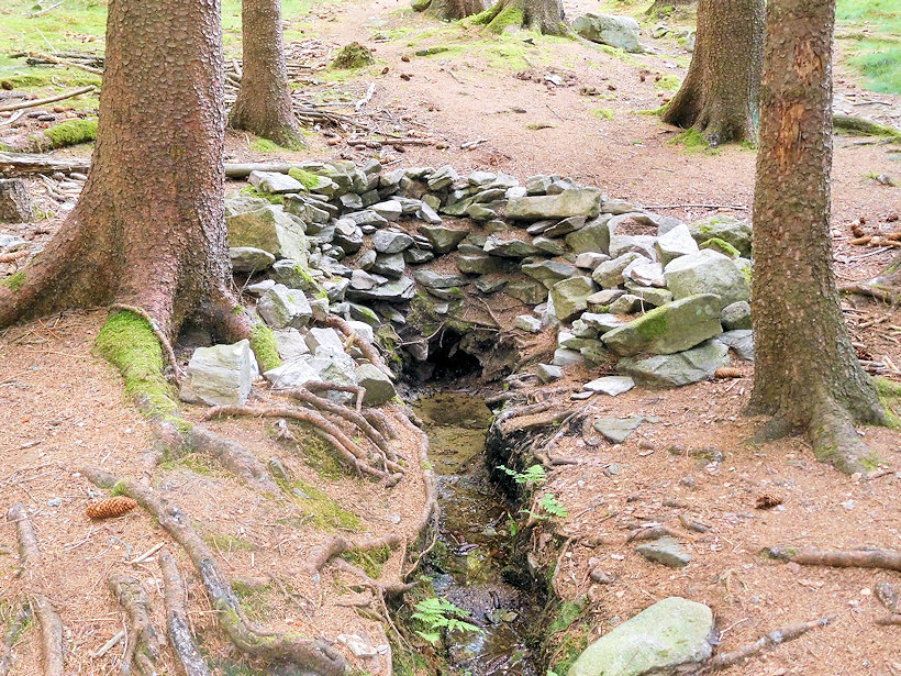studánka Na Suchém vrchu (5629)