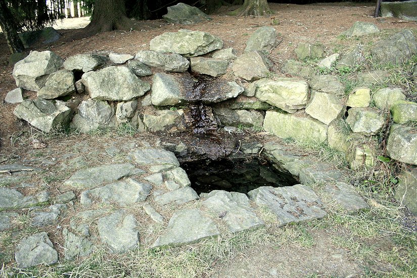 studánka U javornické kapličky (5630)