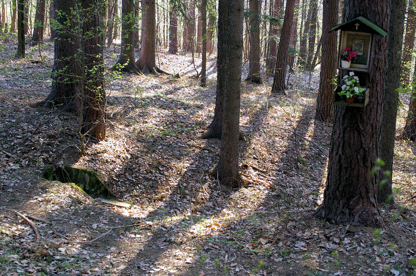 studánka bez jména (5632)