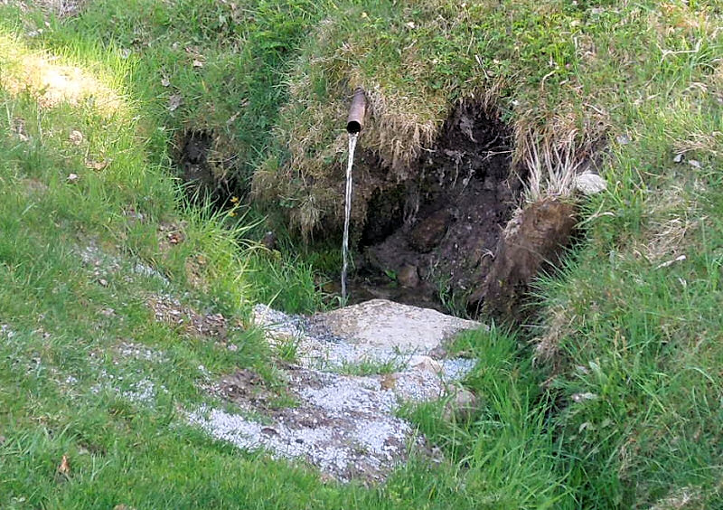 studánka bez jména (5642)