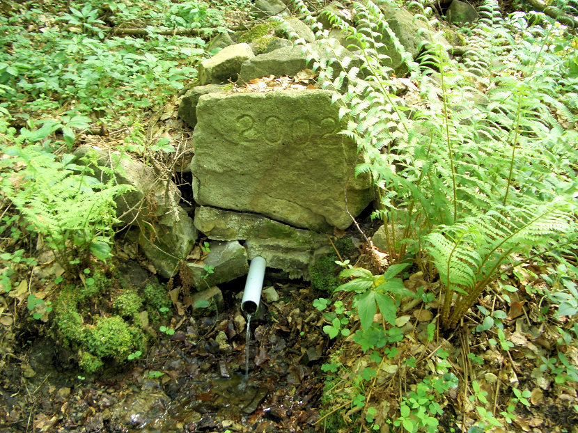 studánka Pod Slavickým kopcem (5651)