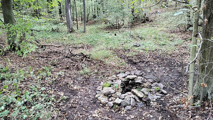studánka bez jména (5659)