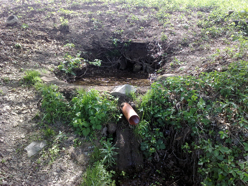 Polní studánka (5661)