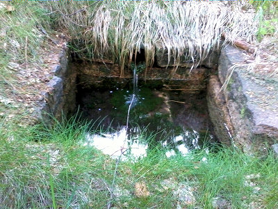studánka Náhodná (5663)
