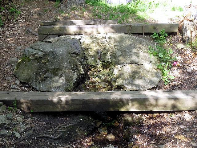 studánka Na Bydžově  (5665)