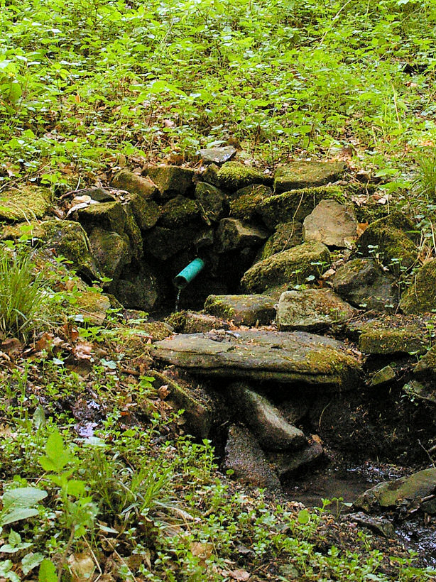 studánka Březovské 2 (5675)