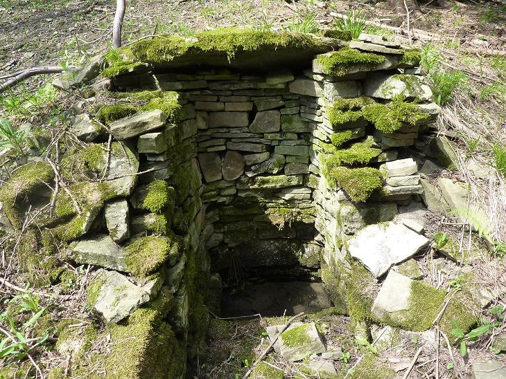 studánka Kubičula (5676)