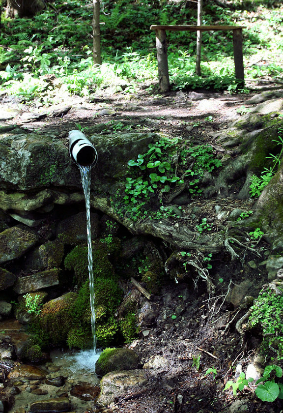 studánka Hladná voda (5678)