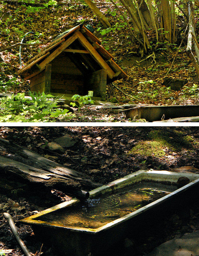 studánka Zadky (5681)