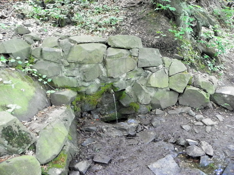 studánka U dřevěných zvířátek (5682)