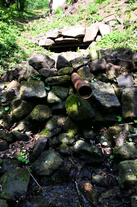 Studánka Holaschke (5688)