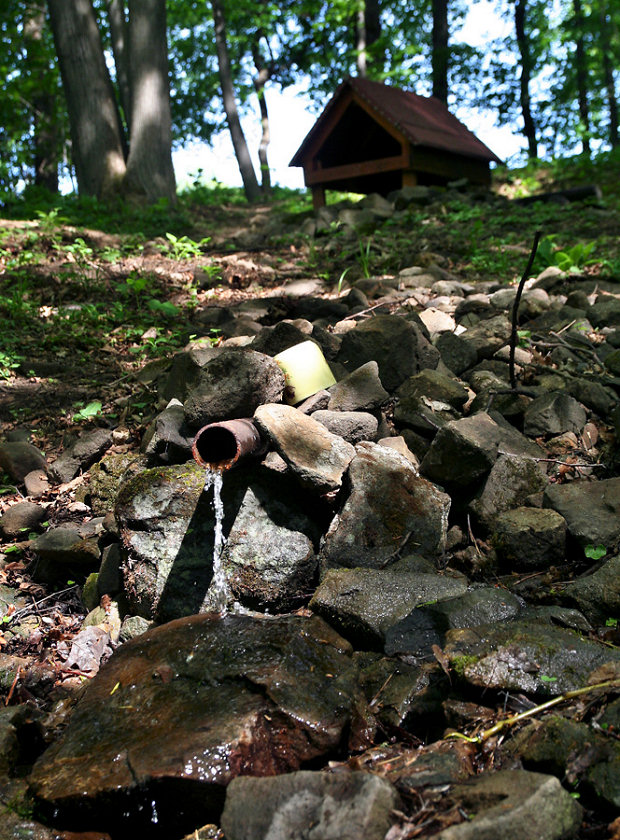 Kamenná studánka (5689)