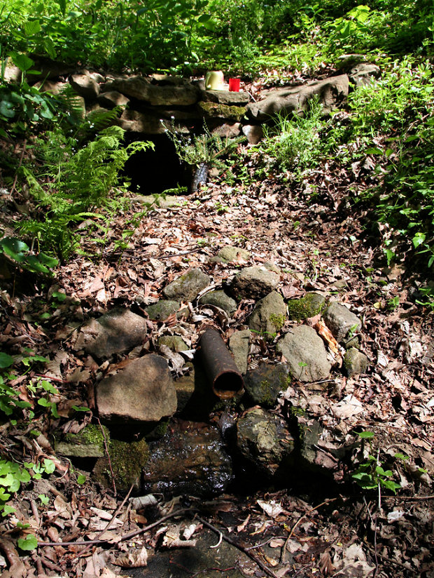 studánka U Jany (5690)