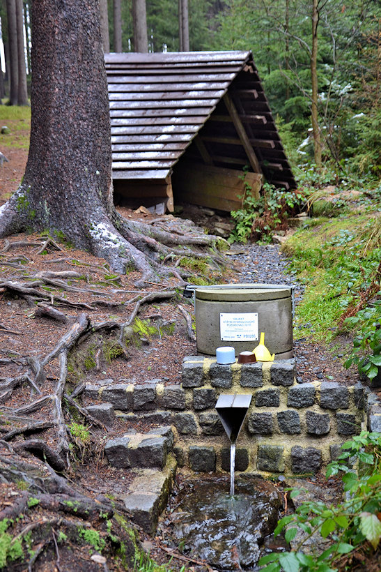 studánka Skautská  (5695)