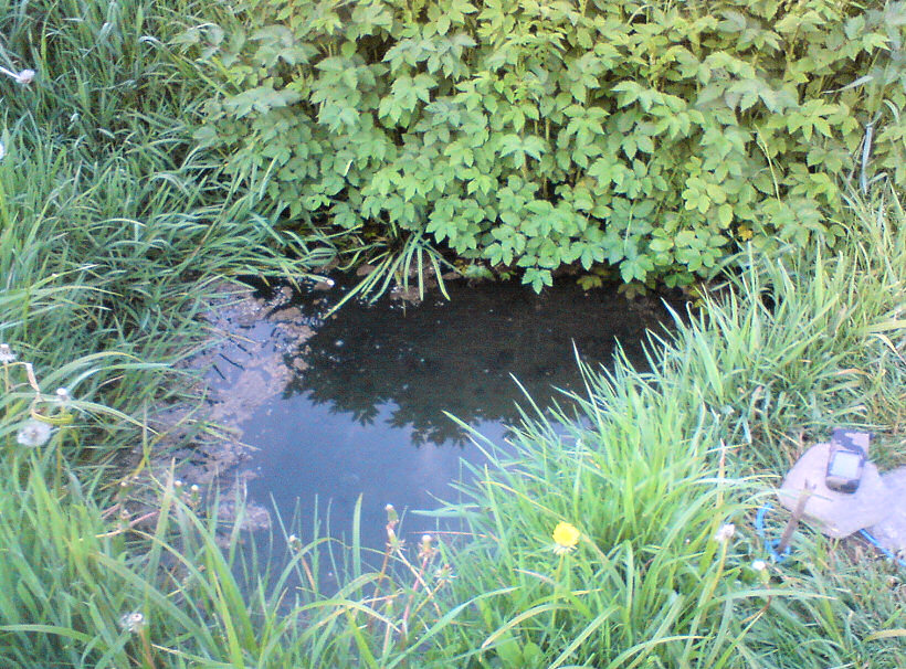 studánka Bezděčka (5696)