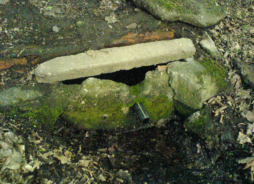 studánka Na podhůře (5701)
