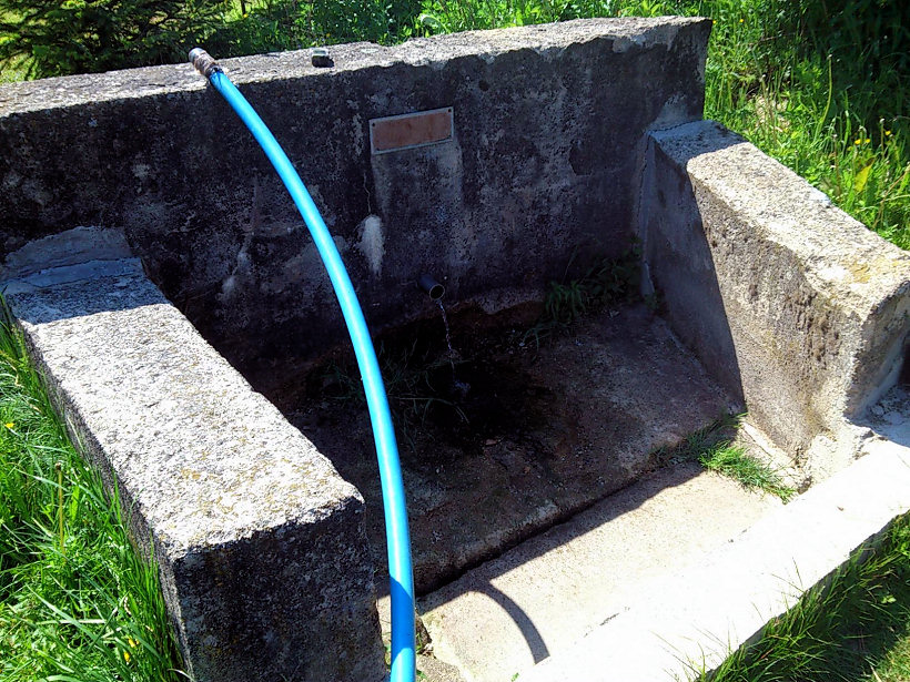 studánka bez jména (5703)