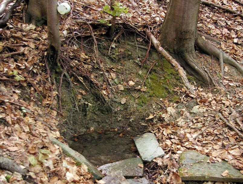 studánka Rudolfova (5709)