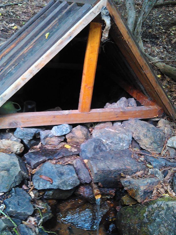 studánka Zvoníčkovna (5711)
