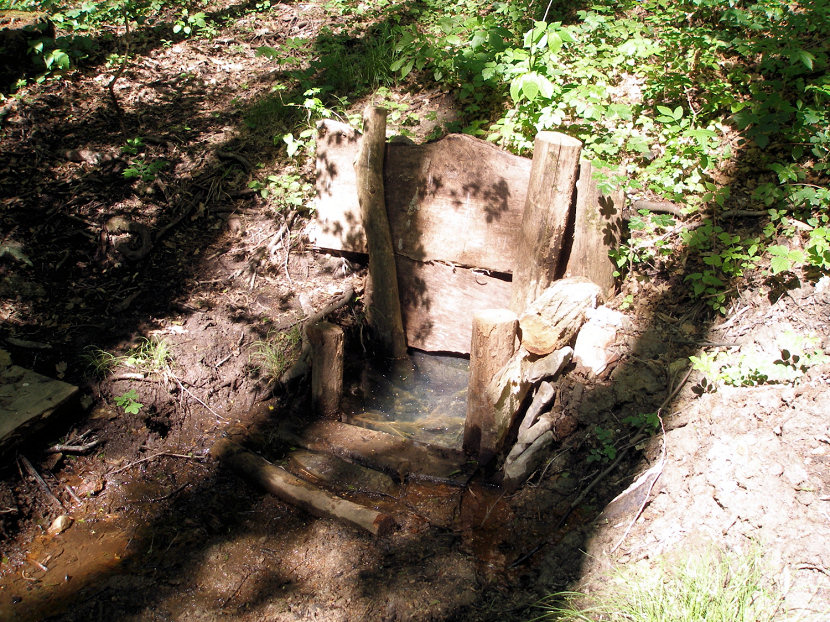 studánka Ve Strážích (5713)