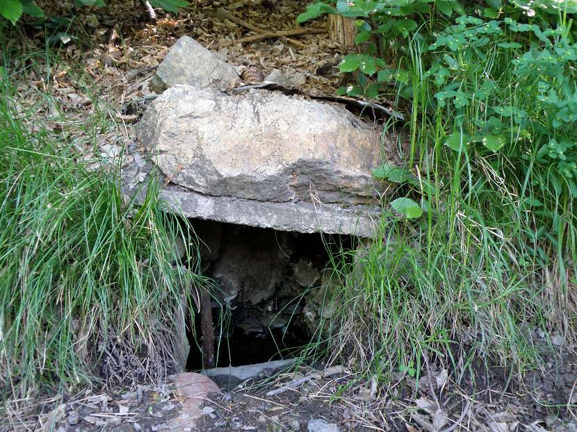 studánka Pod Drnkou (5719)