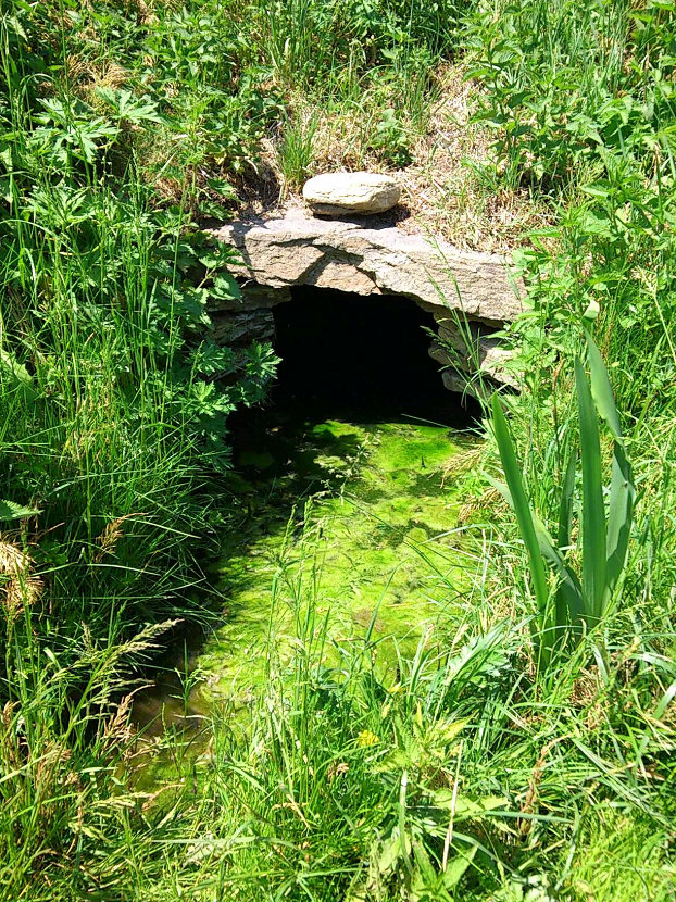 studánka bez jména (5721)