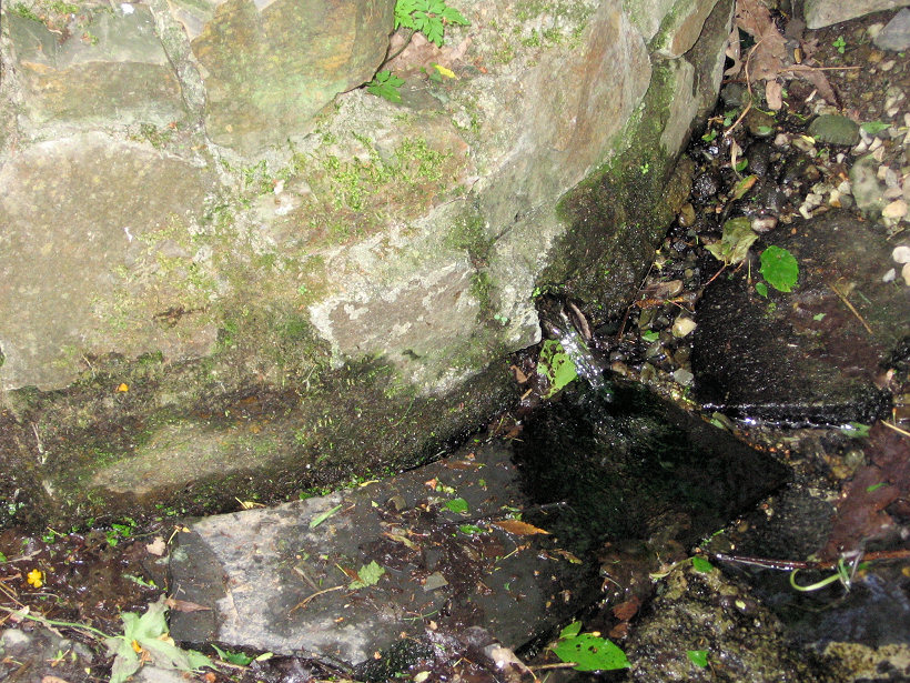 studánka Vrbová (5723)