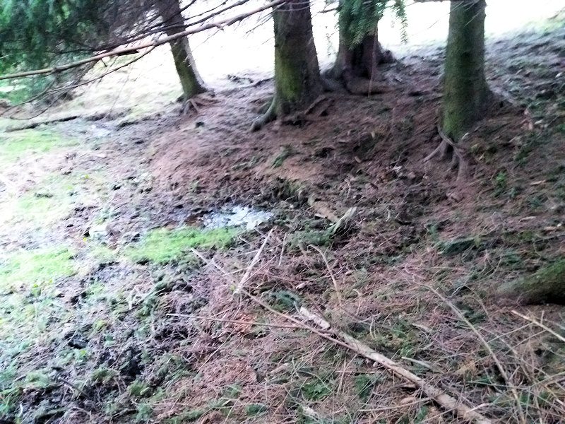 pramen v Menharticích 4 (5734)