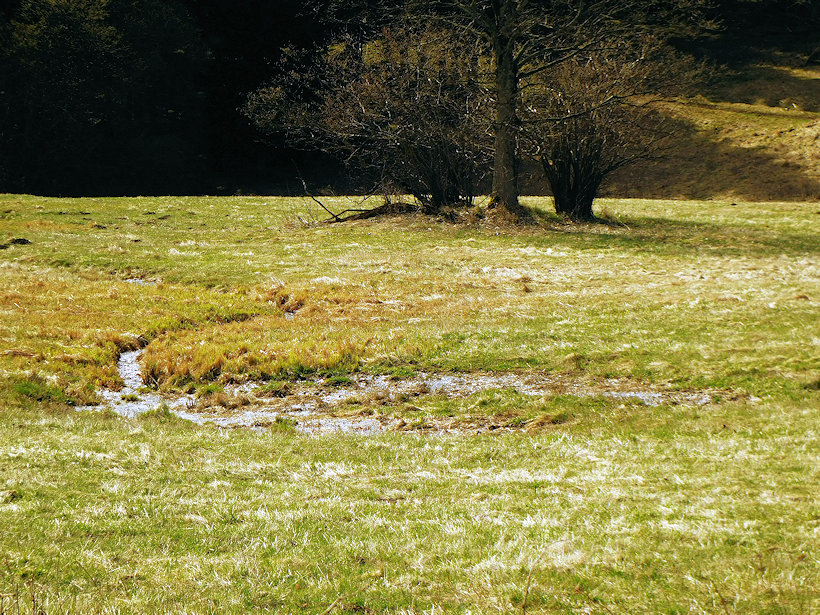 pramen Za Menharticemi (5735)