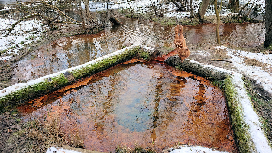 studánka bez jména (5752)