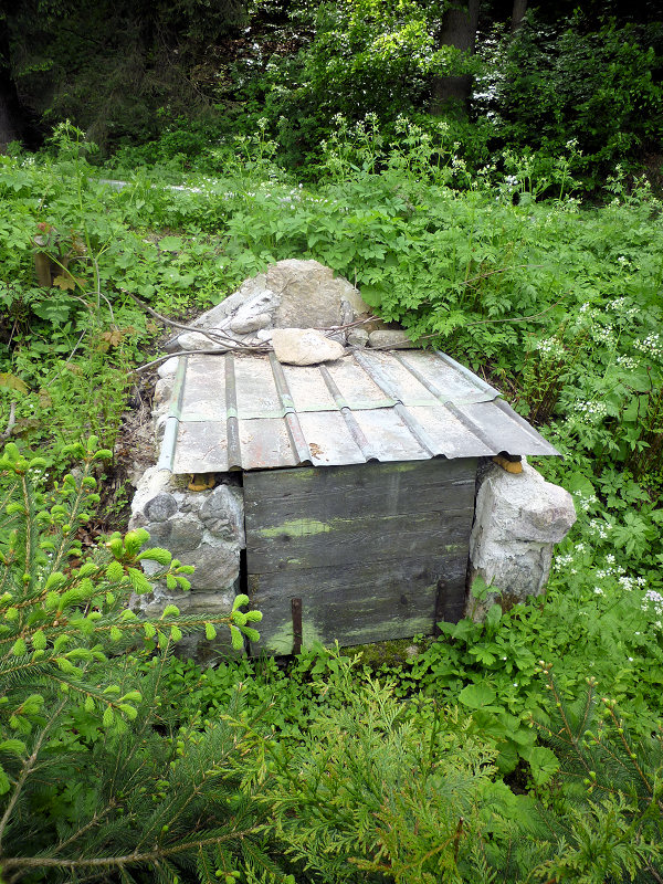 studánka U bývalé Fabovky (5754)