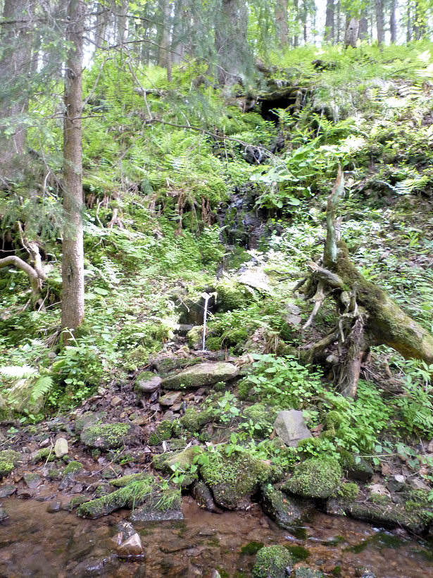 studánka Dřevěné údolí (5755)