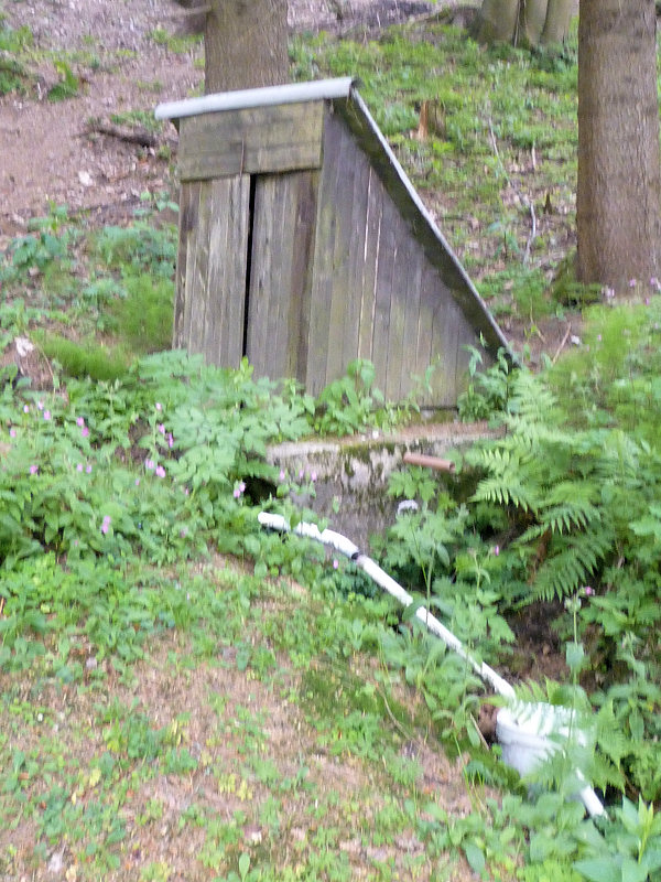 studánka V Holzlochu (5756)