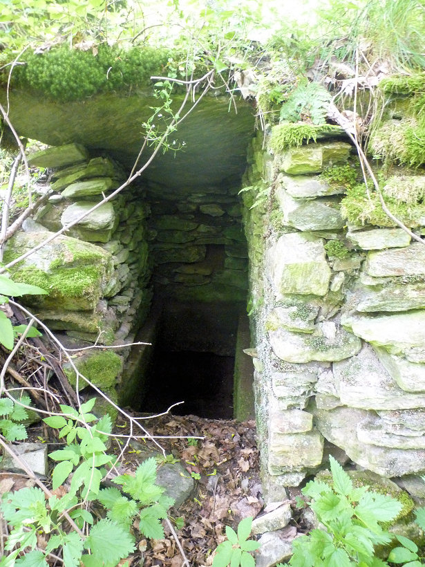studánka U tábora (5758)