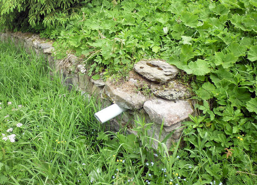 studánka Nad pomníkem (5760)