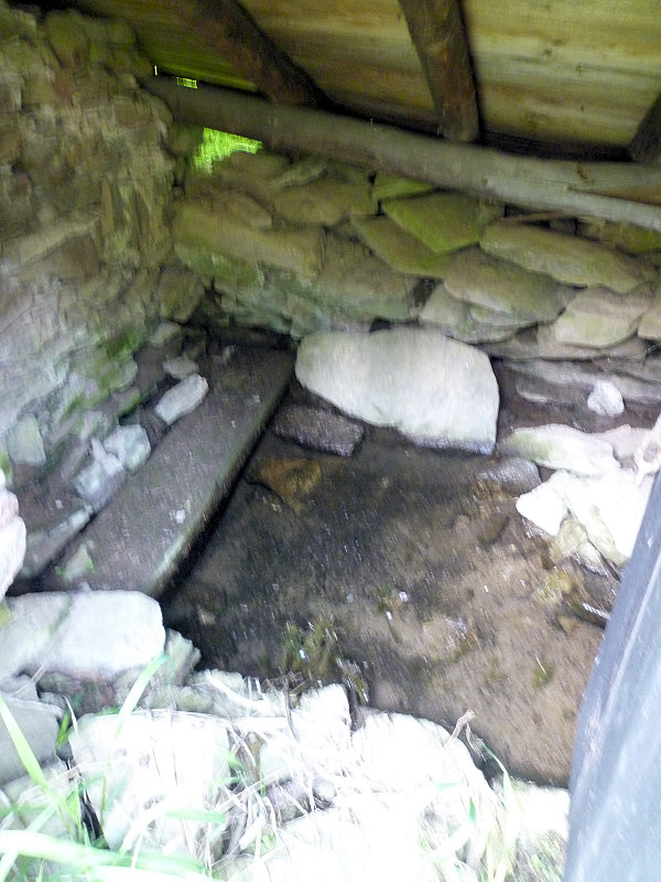 studánka V boudě (5761)