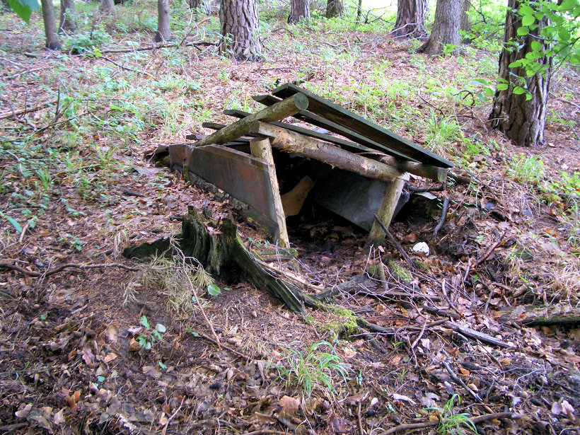studánka bez jména (5770)