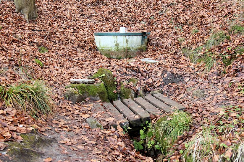 studánka U chaty Věry (5776)