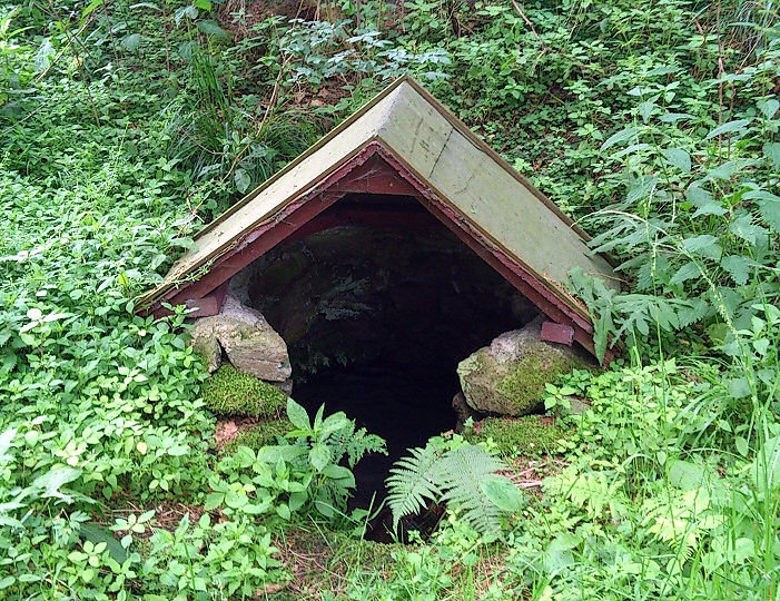 studánka bez jména (5778)