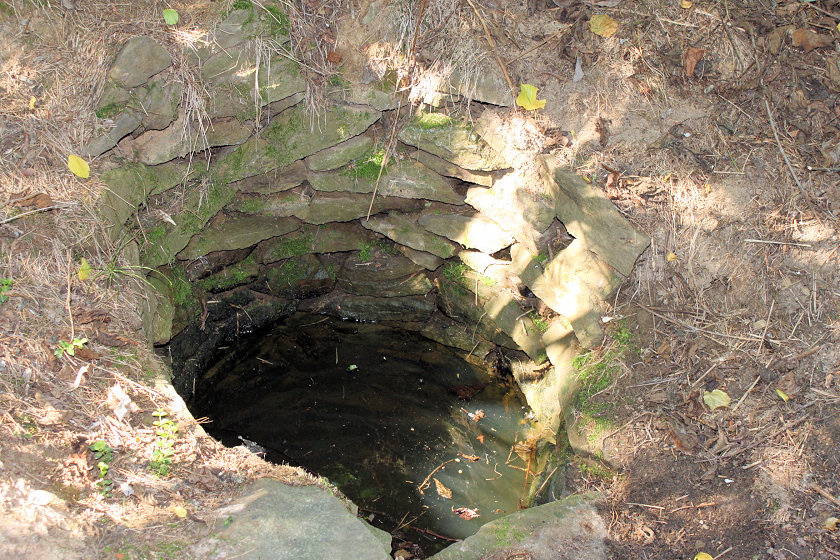 studánka Nad Hájenkou (5782)