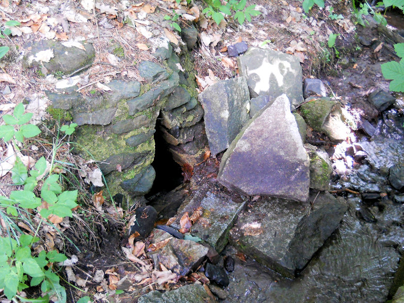 Studánka ve Zlaťáku (5785)