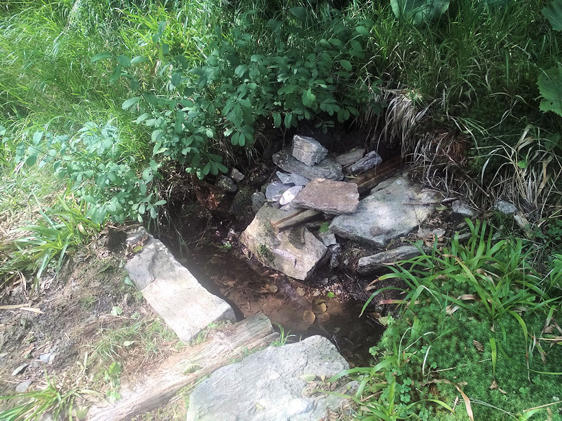 studánka U Černohorské chaty (5793)