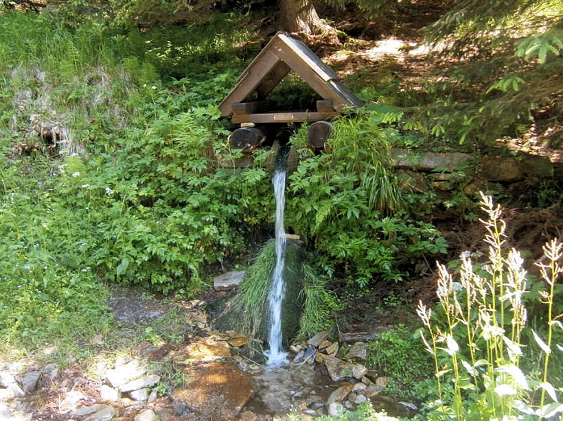 Poniklá studánka (5798)