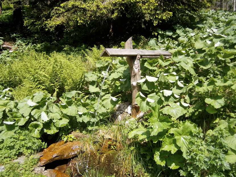 studánka U Potoční chaty (5799)