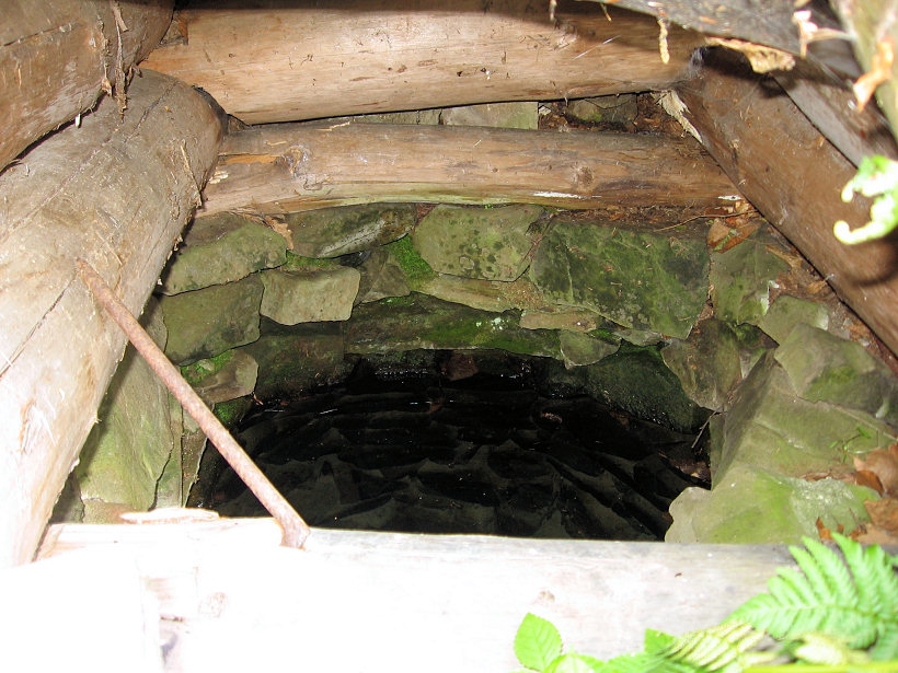 studánka U srubu (5800)