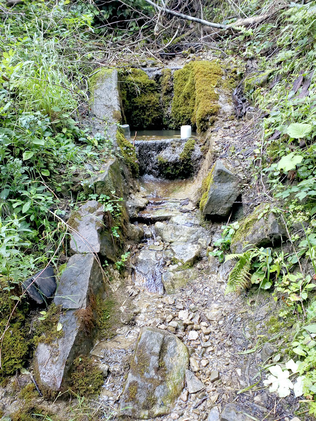 studánka Vápenice Příslop (5808)